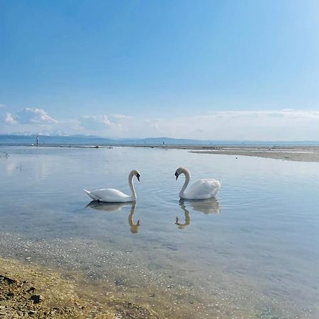 " Sunshine Am See " Friedrichshafen Exterior photo