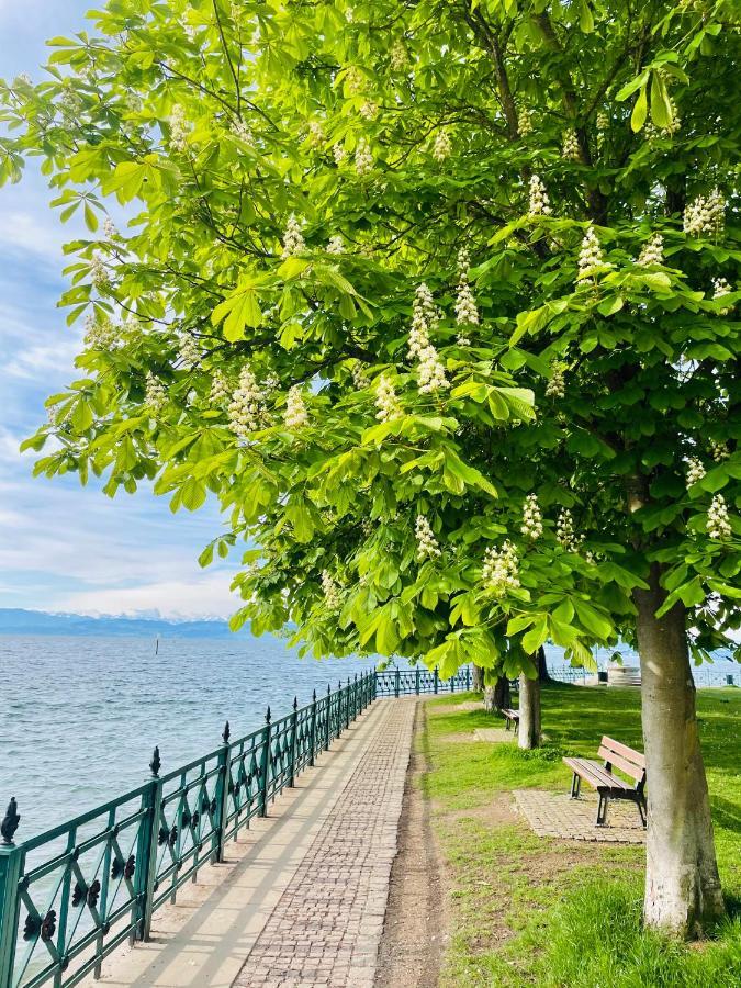 " Sunshine Am See " Friedrichshafen Exterior photo